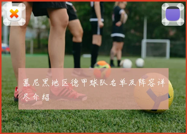 慕尼黑地区德甲球队名单及阵容详尽介绍