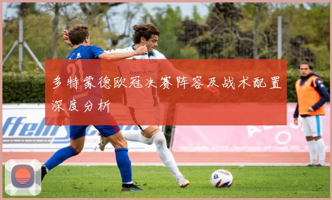 多特蒙德欧冠决赛阵容及战术配置深度分析